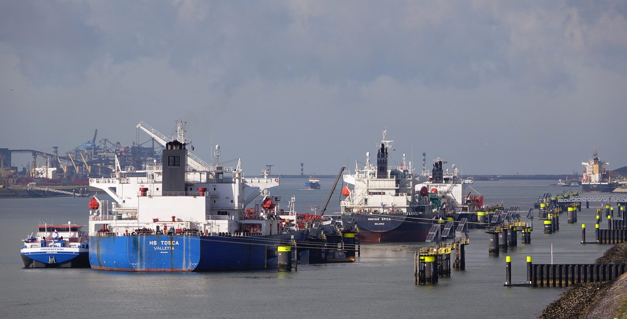 Tankers afgemeerd aan oliesteigers langs het Calandkanaal, Europoort
